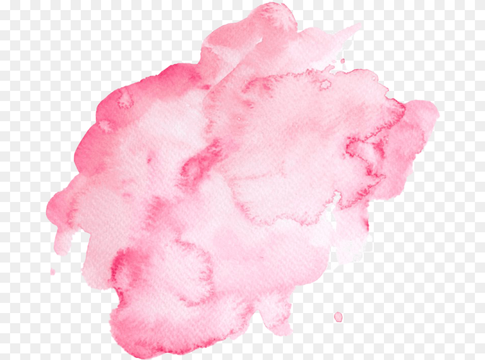 Pink Watercolor Hd Image Color Gradient, Carnation, Flower, Petal, Plant Free Png