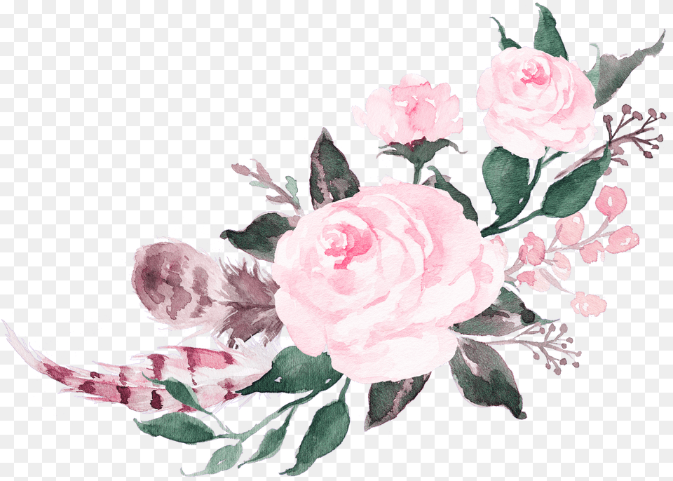 Pink Watercolor Roses Picture Pink Watercolor Flowers, Rose, Plant, Pattern, Graphics Free Png Download