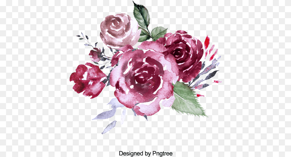 Pink Watercolor Roses Rose Paint, Flower, Flower Arrangement, Flower Bouquet, Plant Free Png