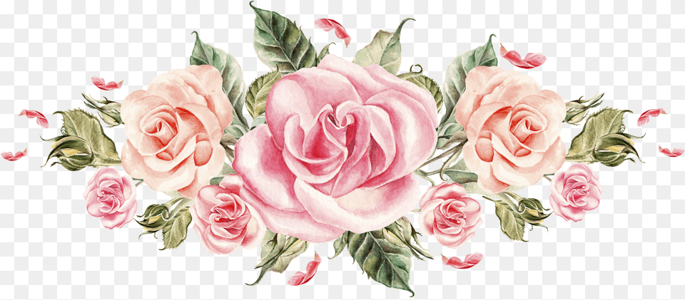 Pink Watercolor Roses Transparent Roses Watercolor, Nature, Outdoors, Winter, Snow Png