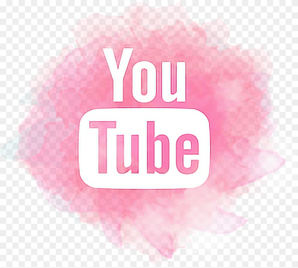 Pink Youtube Logo Transparent, Art, Graphics, Person, Carnation Free Png