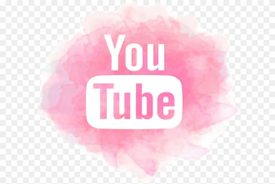 Pink Youtube Youtube Logo Black, Flower, Petal, Plant, Mineral Png Image