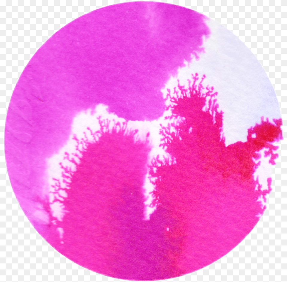 Pinkbrush Circle Glitter Glitch Sparkle Shine Circle, Flower, Petal, Plant, Purple Free Png Download