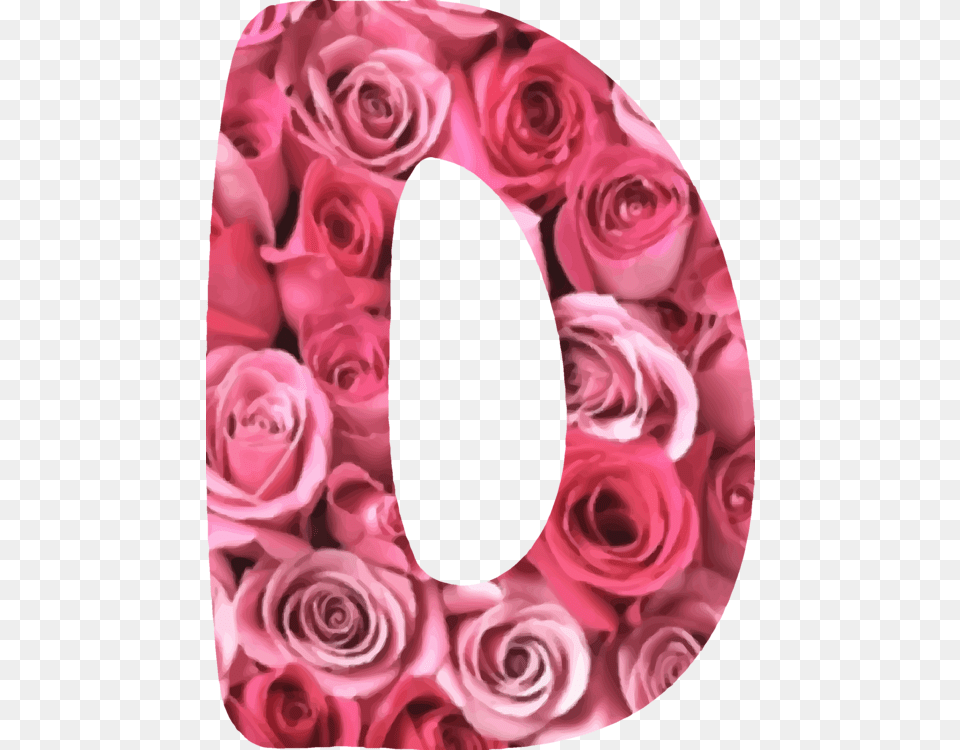 Pinkflowergarden Roses Floral Alphabet Icons, Flower, Petal, Plant, Rose Free Transparent Png