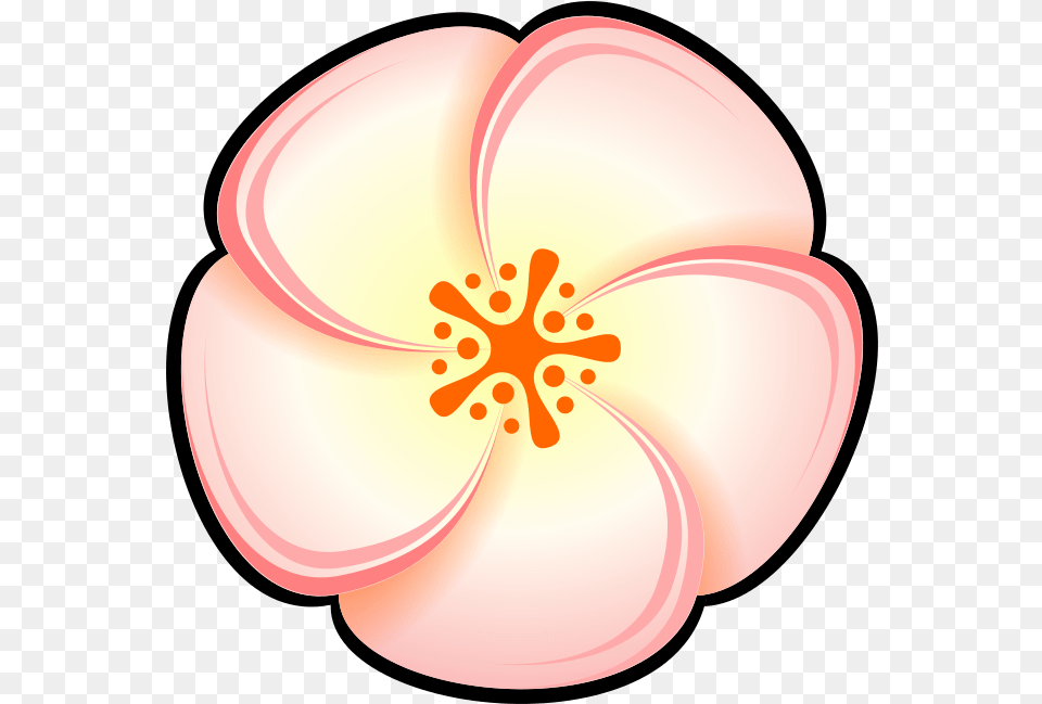 Pinkflowerpeach Peach Color Cartoon, Plant, Petal, Flower, Dahlia Png