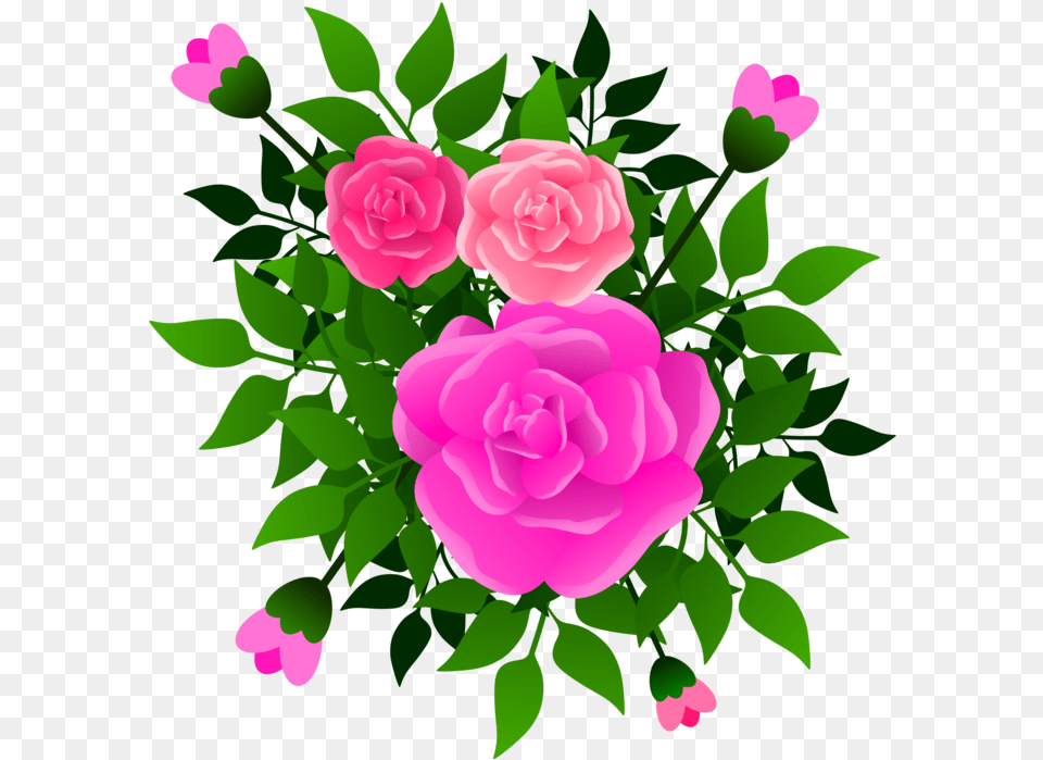 Pinkflowerprickly Rose, Flower, Plant Free Transparent Png