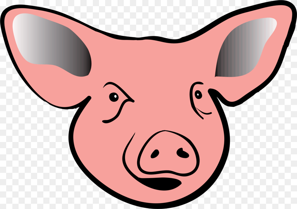 Pinkheadsnout Pig Head Clip Art, Animal, Mammal, Hog, Kangaroo Free Transparent Png
