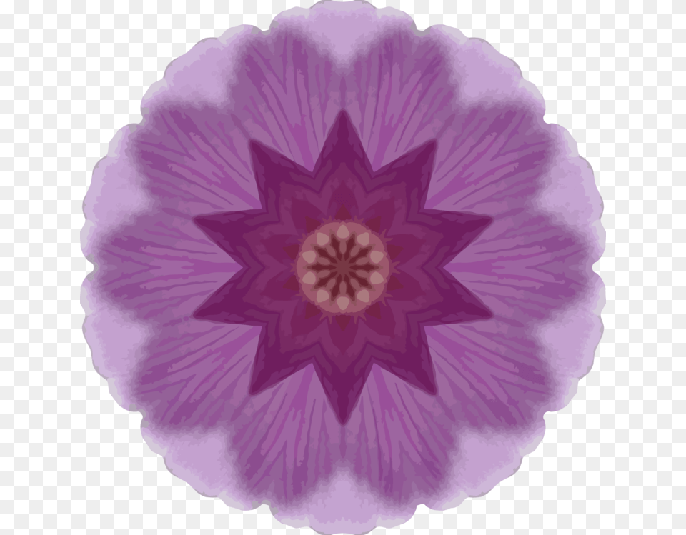 Pinkplantflower Cbt Thought Emotion Behavior, Flower, Geranium, Plant, Purple Png Image