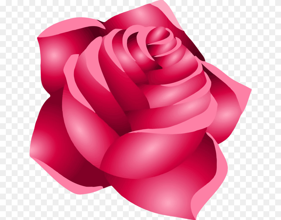 Pinkplantflower Flor Rosa, Flower, Petal, Plant, Rose Free Png Download
