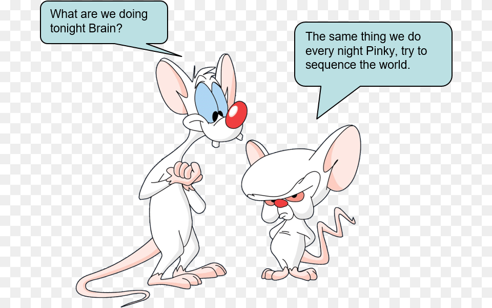 Pinky And The Brain, Publication, Book, Comics, Baby Free Transparent Png