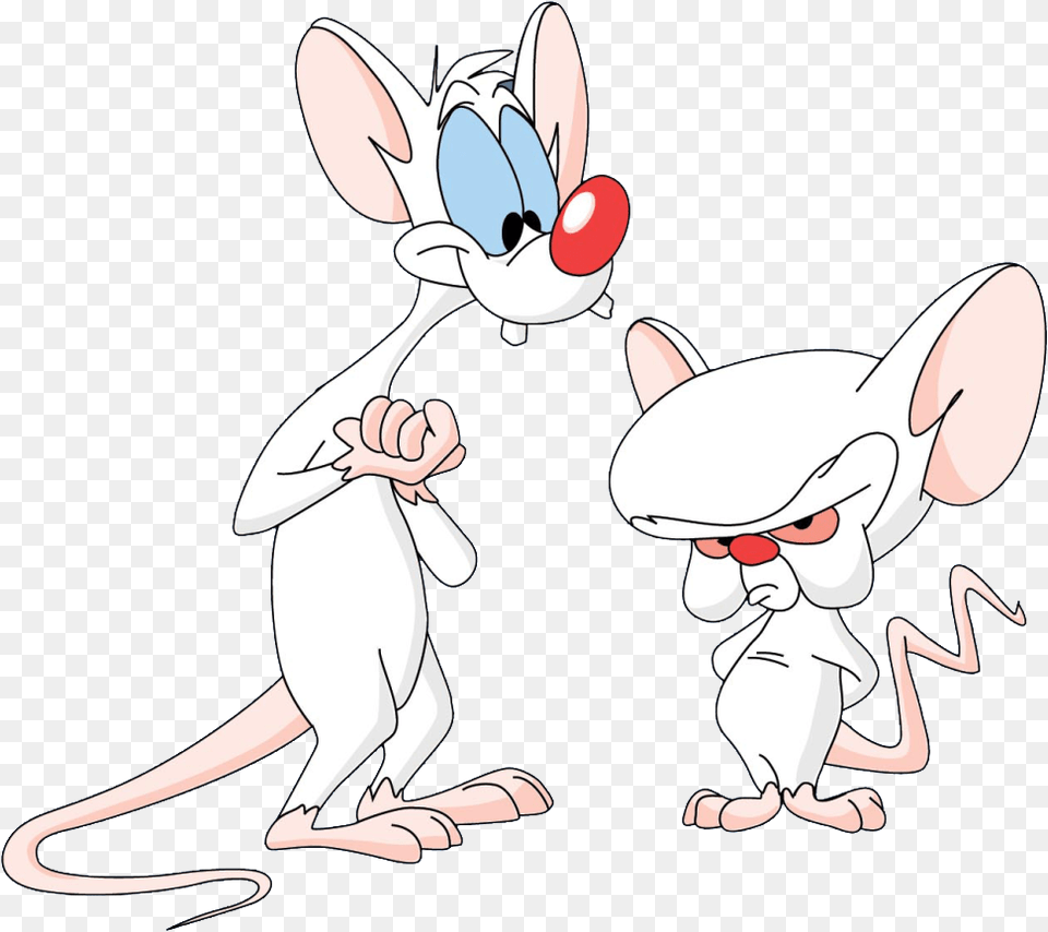 Pinky And The Brain Stoned, Cartoon, Animal, Mammal, Face Free Png Download