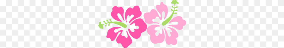 Pinky Hibiscus Clip Art, Flower, Plant, Geranium, Baby Free Transparent Png
