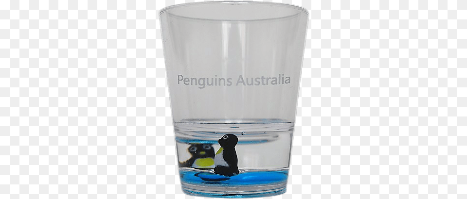 Pint Glass, Cup, Jar, Animal, Bear Free Png