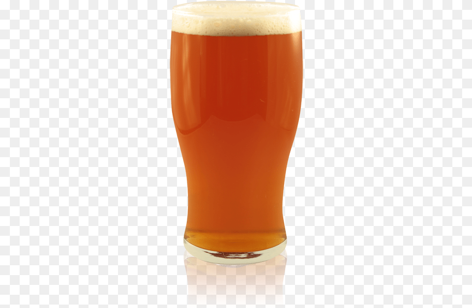 Pint Of Kcb 66 Degrees Craft Beer Ale, Alcohol, Beer Glass, Beverage, Glass Png