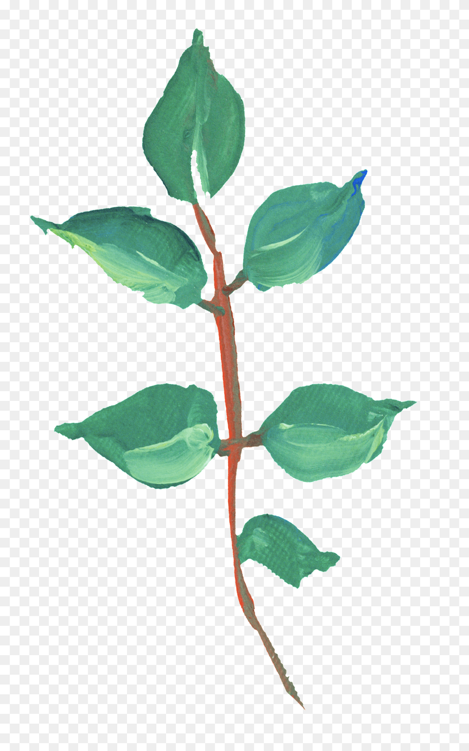 Pintado A Mano Aceite De Verdes Hojas Transparente Descargar, Leaf, Plant, Herbal, Herbs Png
