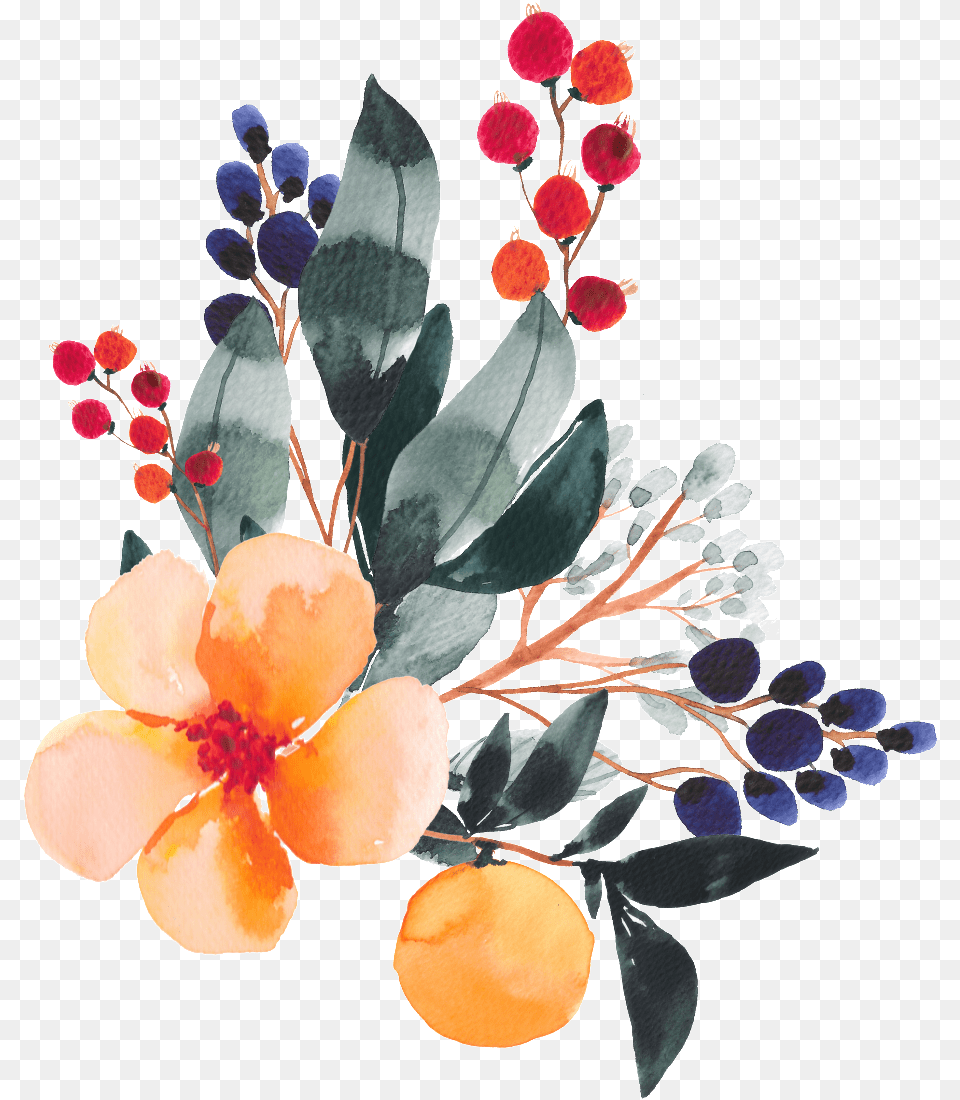 Pintado A Mano De Color Plantas Empalmar La Acuarela Watercolor Painting, Plant, Food, Fruit, Produce Png Image