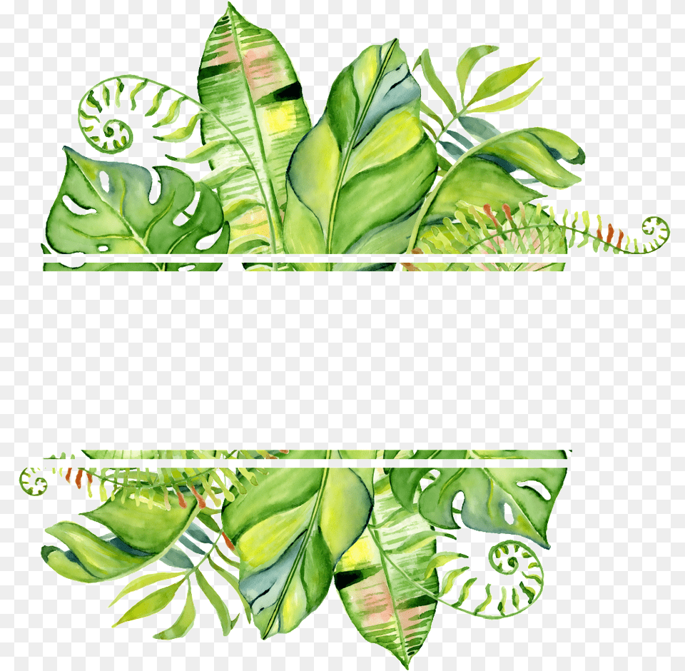 Pintado A Mano De De Hoja Transparente Watercolor Tropical Leaves Border, Vegetation, Plant, Leaf, Tree Png Image