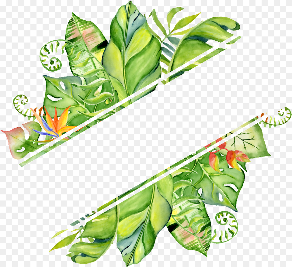 Pintado A Mano En Transparente Rendering Hojas, Leaf, Plant, Vegetation, Art Png