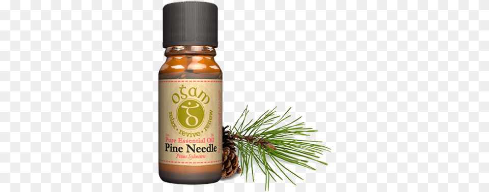 Pinus Sylvestris Essential Oil, Herbal, Herbs, Plant, Tree Png Image