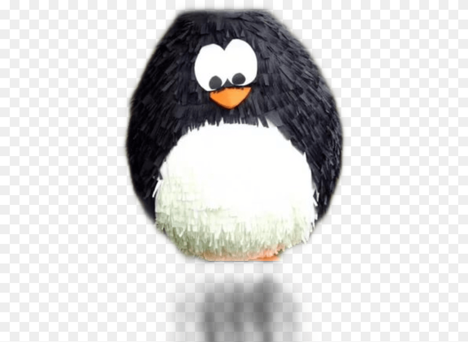 Pinyata Freetoedit Circle Penguin Piata, Animal, Bird, Beak Free Transparent Png