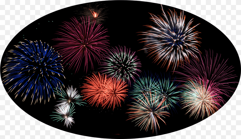 Pioneer Day, Fireworks, Plant Free Transparent Png