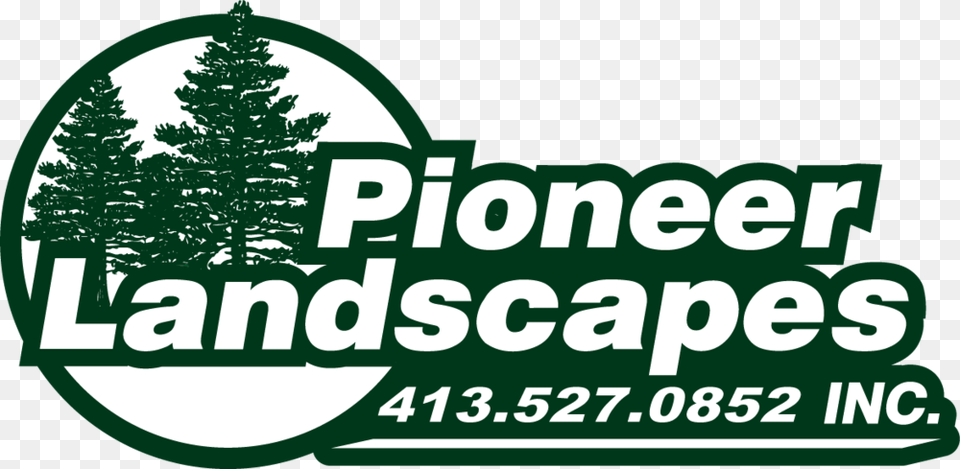 Pioneer Logo Green Christmas Tree, Fir, Plant, Pine, Vegetation Png Image