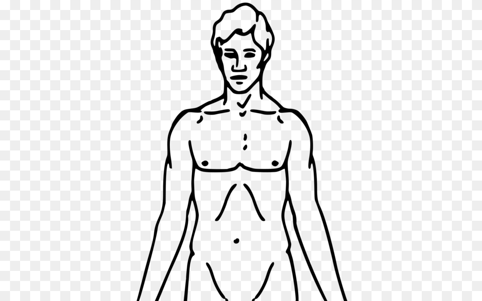 Pioneer Plaque Man Upper Body As Diagram Template, Gray Png Image