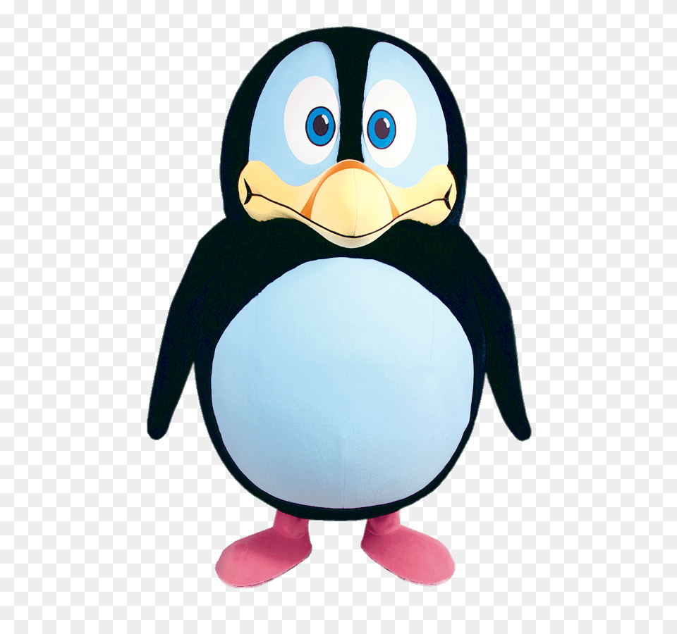 Pip Ahoy Alan The Penguin Costume, Animal, Bird Free Transparent Png