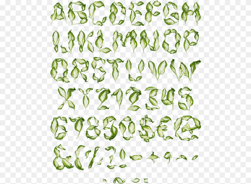 Pipal Leaves Font, Leaf, Plant, Green, Text Free Png