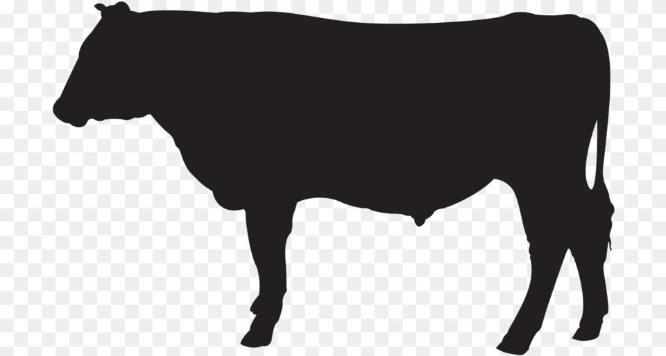 Pipeline Icons Cattle, Animal, Bull, Mammal, Livestock Free Transparent Png
