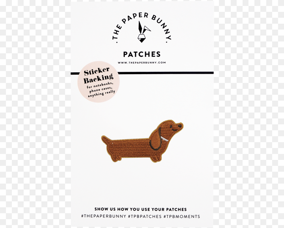 Piper The Dachshund Patch Dachshund, Advertisement, Poster Free Png Download