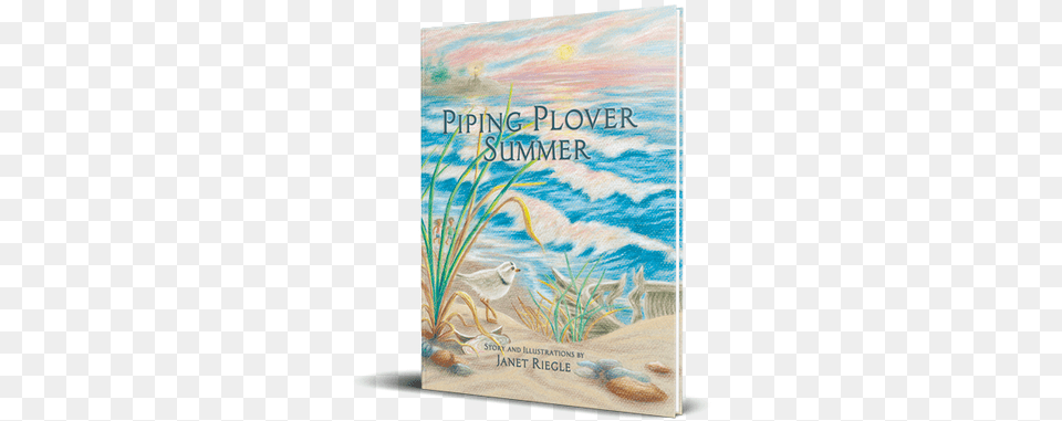Piping Plover Summer Piping Plover Summer Book, Publication, Animal, Bird Png Image