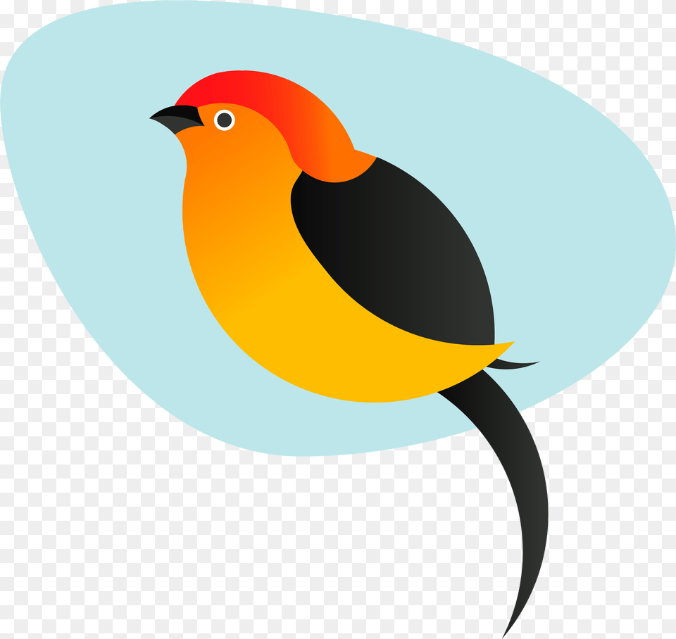 Pipra Is A Boutique Indian Company On A Mission To Robin, Animal, Bird, Finch, Blackbird Free Transparent Png