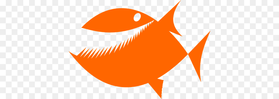 Piranha Animal, Fish, Sea Life, Bird Png Image