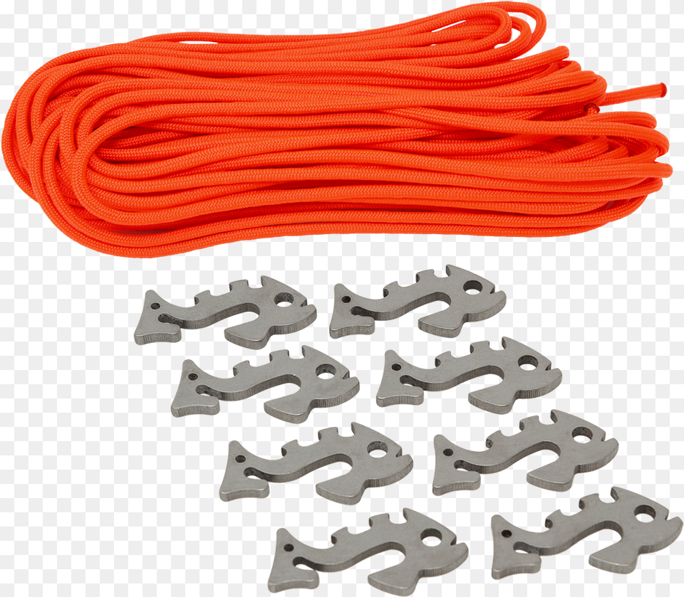 Piranha, Animal, Dinosaur, Reptile Free Transparent Png