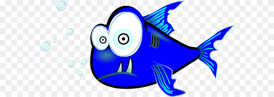 Piranha Animal, Sea Life, Fish Png Image