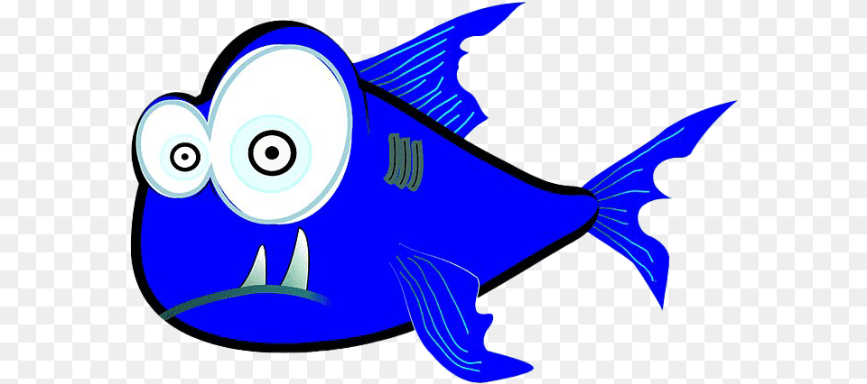 Piranha Fish Picture Pirahna Clipart, Animal, Sea Life, Surgeonfish, Shark Png Image