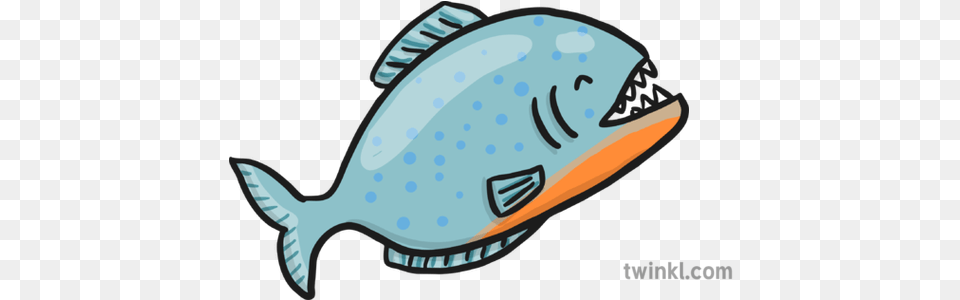 Piranha Illustration Piranha Illustration, Animal, Sea Life, Fish, Shark Png Image