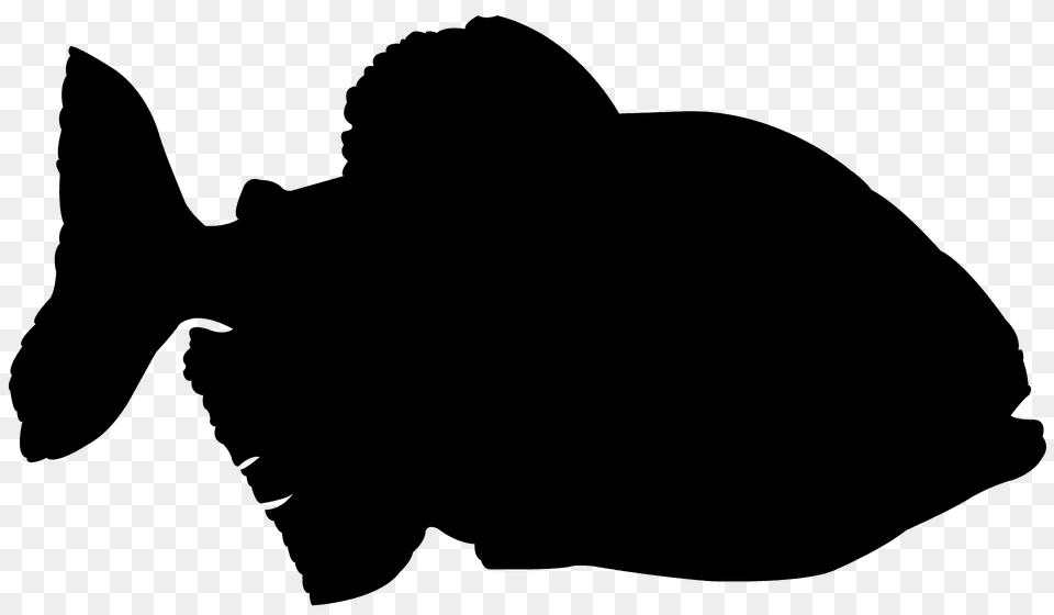 Piranha Silhouette, Animal, Sea Life, Bear, Mammal Free Png