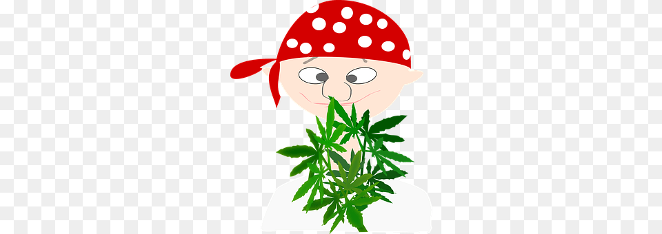 Pirate Plant, Leaf, Face, Person Free Png Download