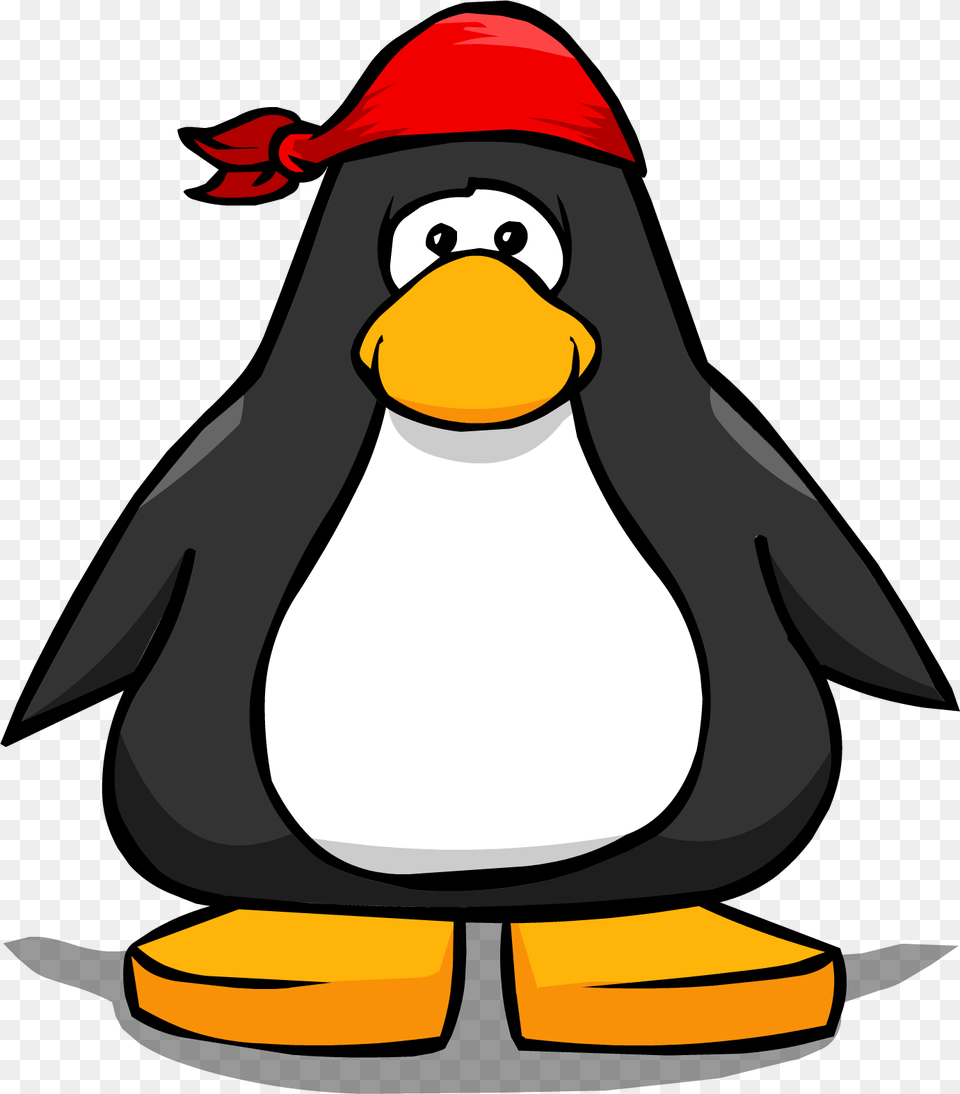 Pirate Bandana Clip Art Loadtve, Animal, Bird, Penguin Free Png
