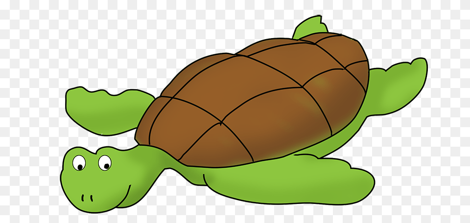 Pirate Clip Art, Animal, Reptile, Sea Life, Turtle Free Transparent Png