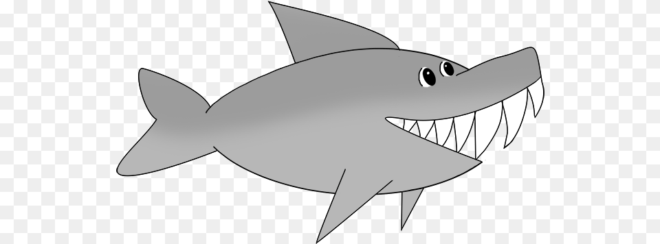 Pirate Clip Art Tiger Shark Cartoon, Animal, Fish, Sea Life Free Png Download