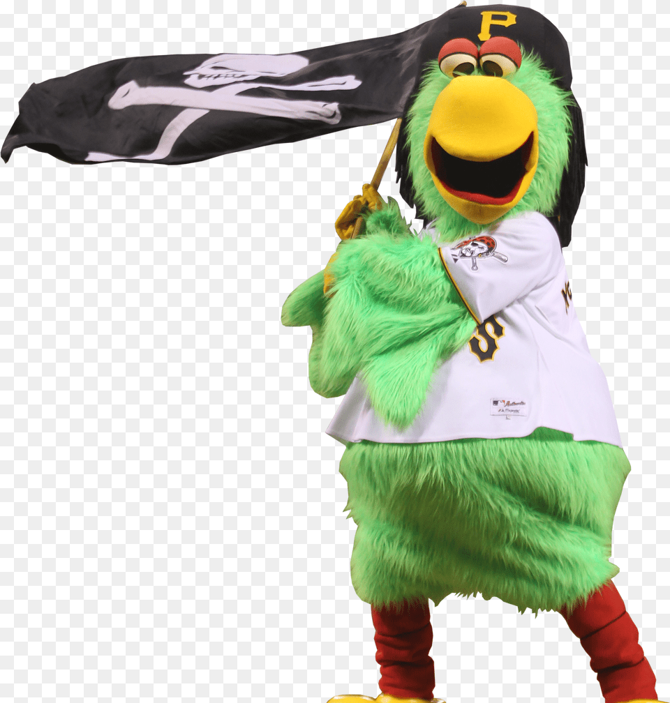 Pirate Parrot Appearance The Pirate Parrot Will Be Costume Hat Png Image