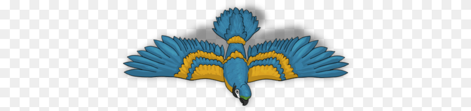 Pirate Parrot Eagle, Animal, Bird, Dinosaur, Reptile Png Image