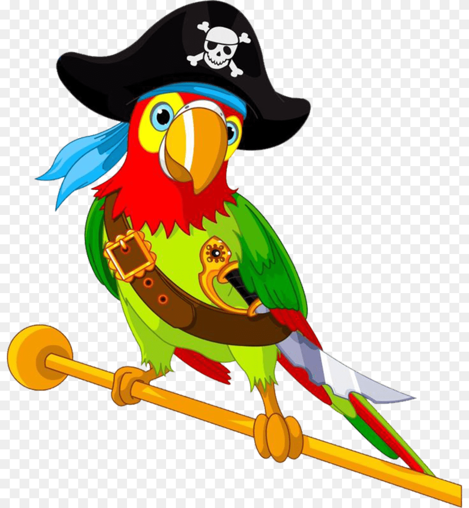 Pirate Parrot Pirate Parrot Clip Art, Animal, Bird Free Png Download