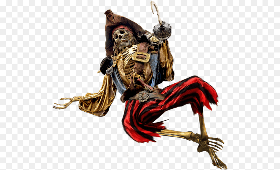 Pirate Skeleton, Adult, Bride, Female, Person Free Transparent Png