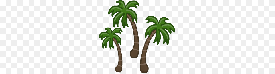 Pirate Treasure Hunt Eight Challenges, Palm Tree, Plant, Tree, Smoke Pipe Png Image