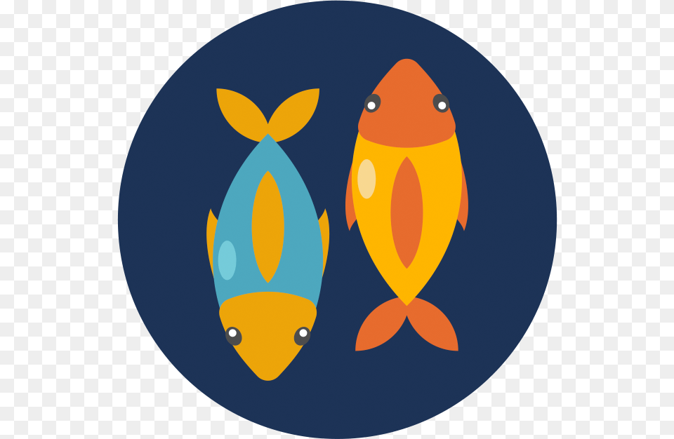 Pisces, Animal, Sea Life, Fish, Bird Png Image