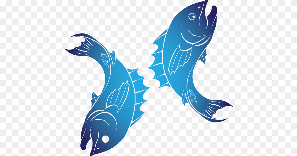 Pisces, Person, Animal, Sea Life, Face Png